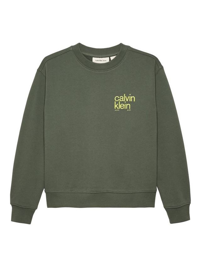 Детский свитшот Brooklyn Bridge Calvin Klein, Thyme
Детский свитшот Brooklyn Bridge Calvin Klein, Thyme