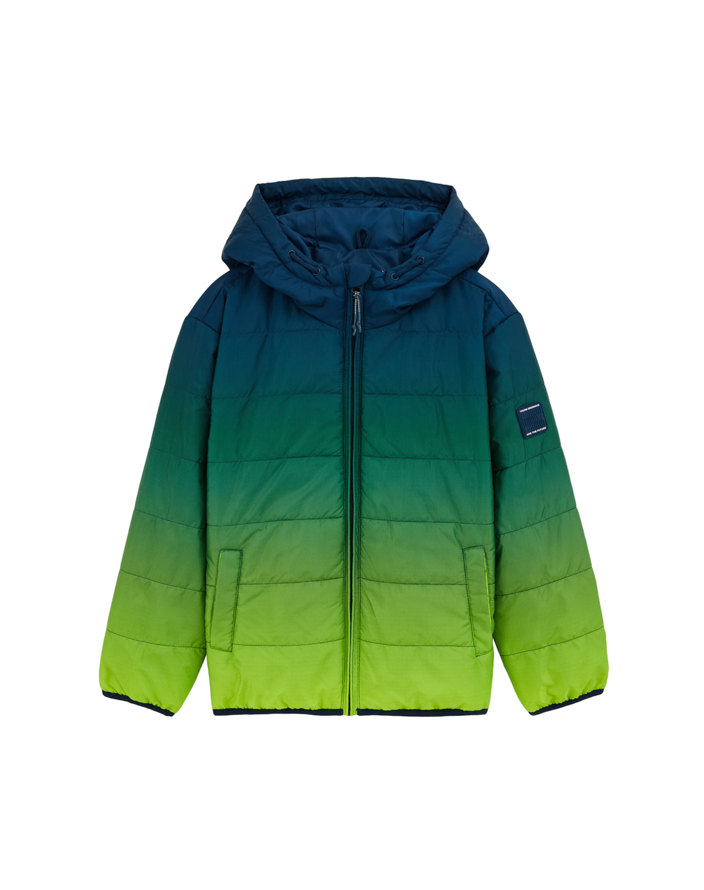 WE Fashion Межсезонная куртка в изумрудном, светло-зеленом цвете
WE Fashion Межсезонная куртка в изумрудном, светло-зеленом цвете