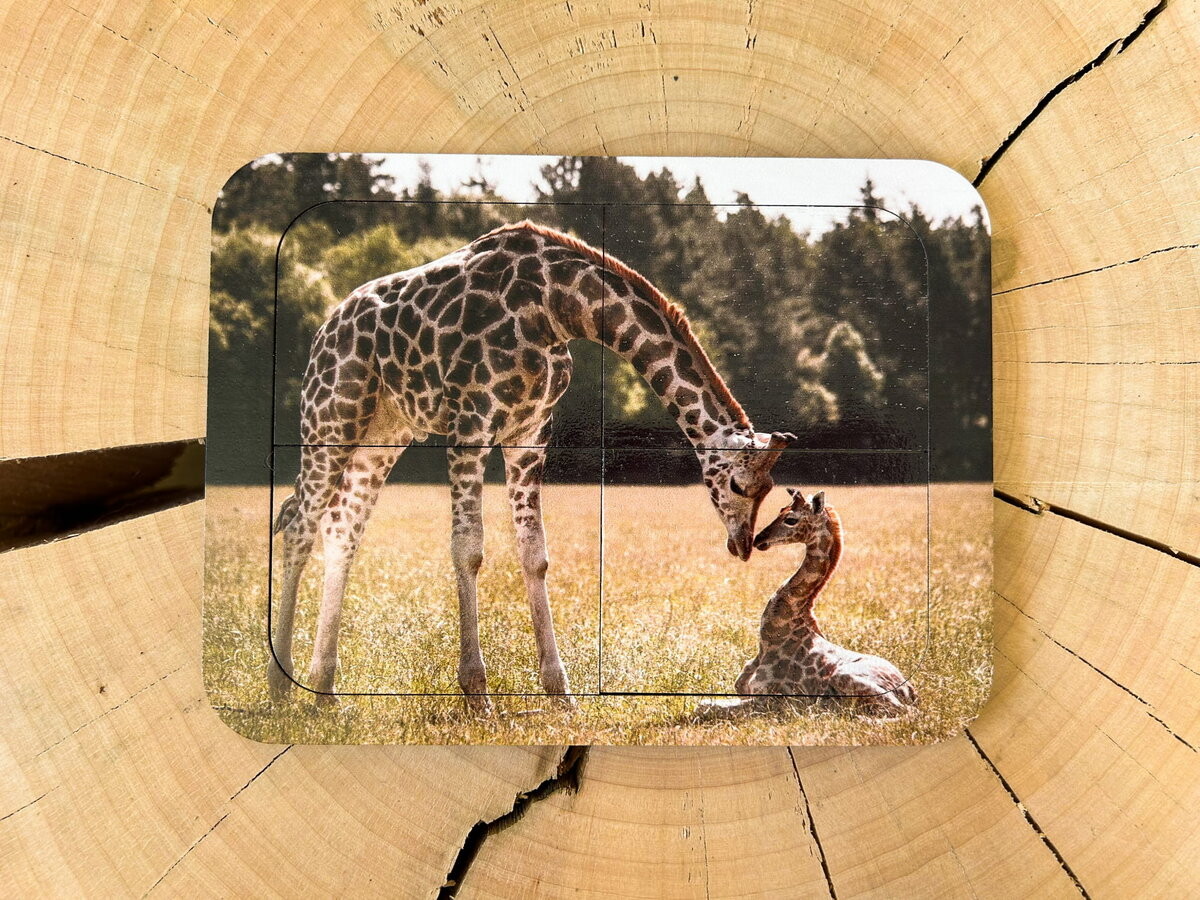 Жираф, деревянный пазл с четырьмя элементами, основа с подписью, первый пазл Inna marka
Жираф, деревянный пазл с четырьмя элементами, основа с подписью, первый пазл Inna marka