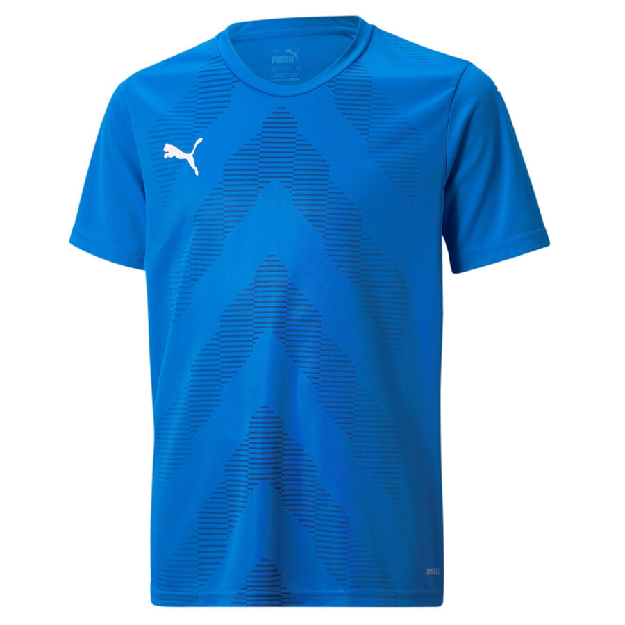 Футболка Puma Kids' Jerseys teamGLORY Jersey Jr 705309
Футболка Puma Kids' Jerseys teamGLORY Jersey Jr 705309