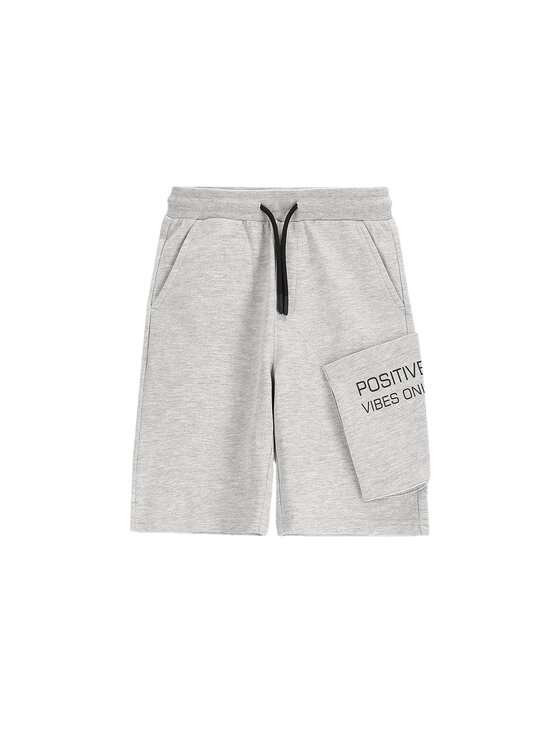 Спортивные шорты обычного кроя WC5120501VBC Coccodrillo, серый
Спортивные шорты обычного кроя WC5120501VBC Coccodrillo, серый