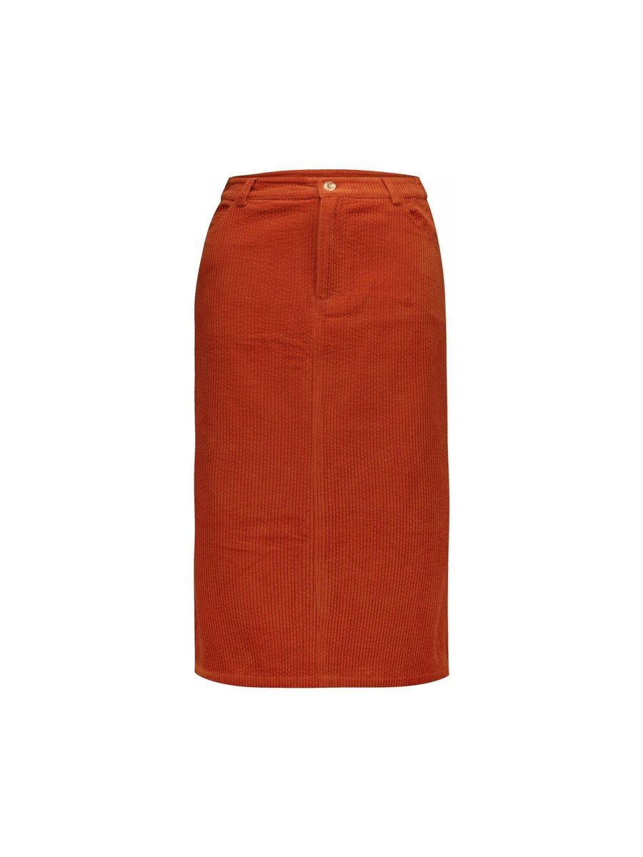 Юбка Deeluxe MELOANE, оранжевый
Юбка Deeluxe MELOANE, оранжевый