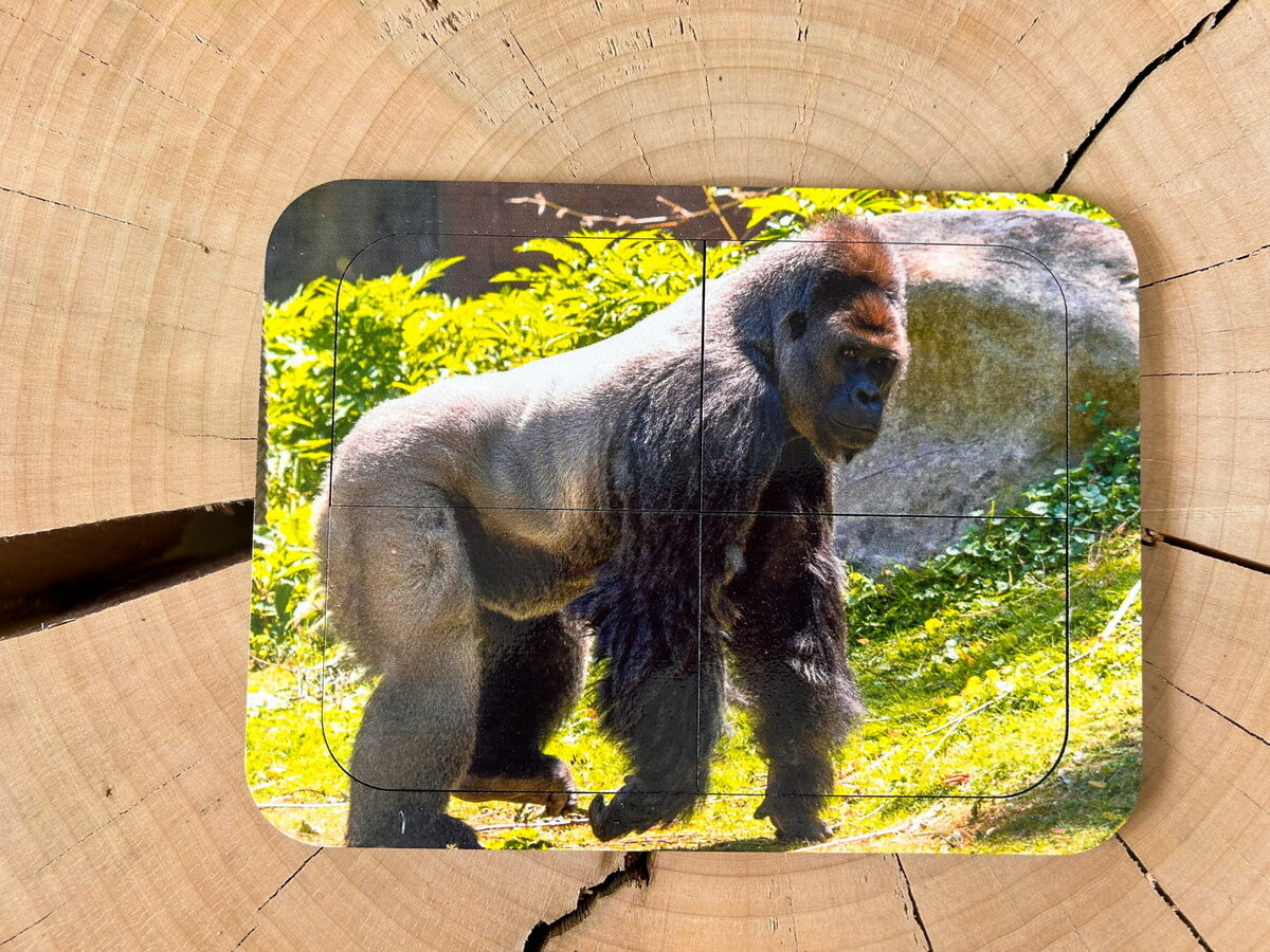 Горилла, деревянный пазл с четырьмя элементами, основа с подписью, первый пазл Inna marka
Горилла, деревянный пазл с четырьмя элементами, основа с подписью, первый пазл Inna marka