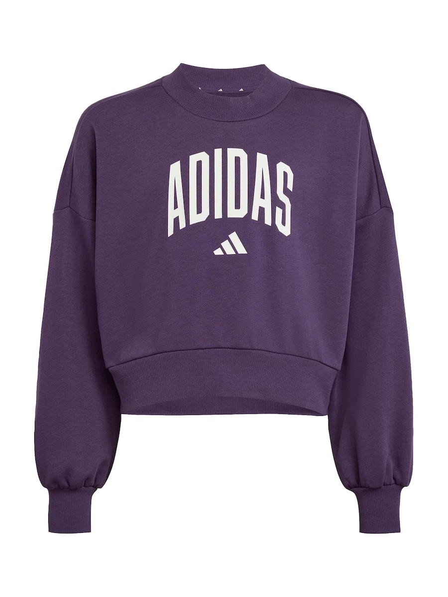 Спортивная толстовка ADIDAS SPORTSWEAR, темно-фиолетовый
Спортивная толстовка ADIDAS SPORTSWEAR, темно-фиолетовый