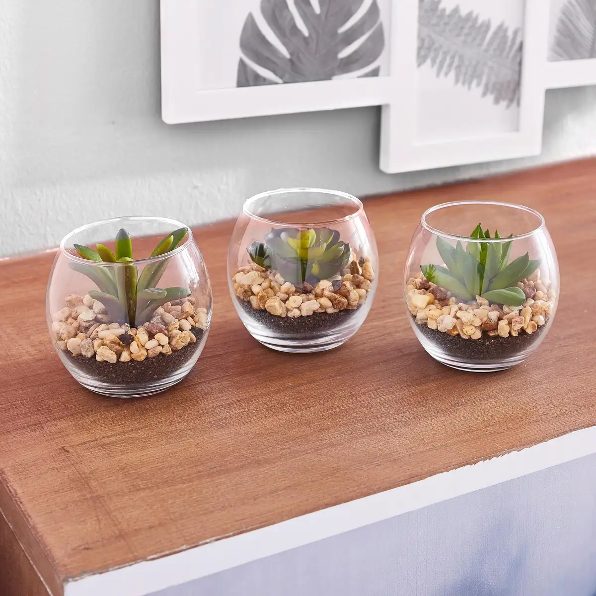 Креативное зеленое искусственное растение "Суккуленты" Creativ green 7х7 см, зеленый
Креативное зеленое искусственное растение "Суккуленты" Creativ green 7х7 см, зеленый
