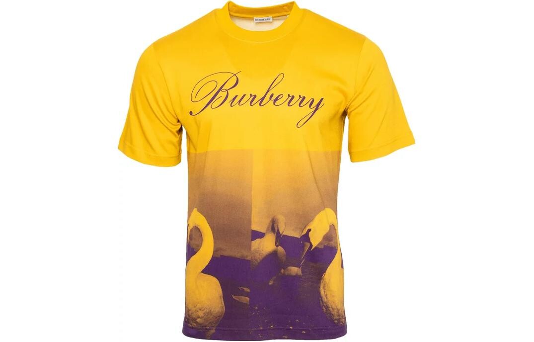 Футболка мужская зеленая Burberry, зеленый
Футболка мужская зеленая Burberry, зеленый