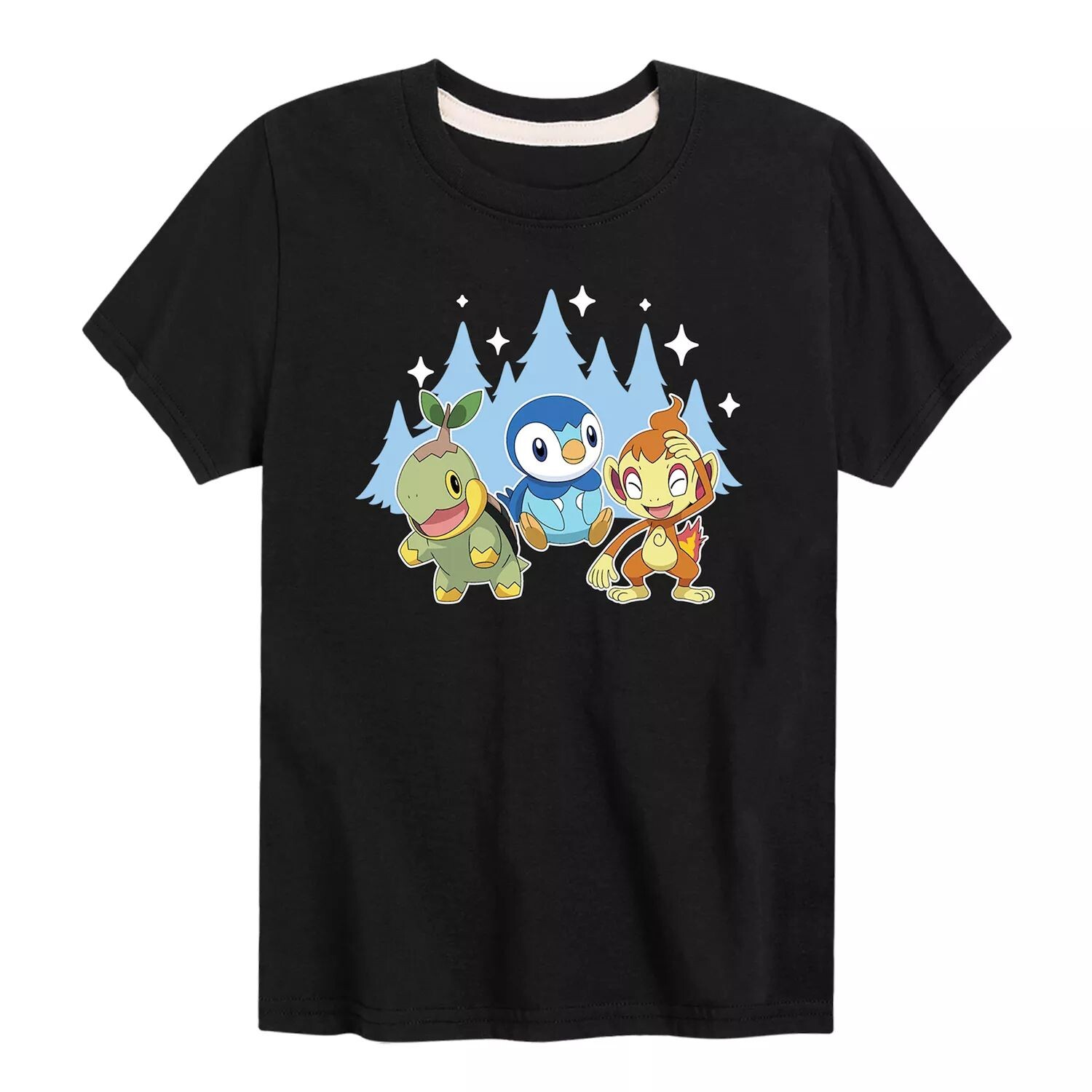 Зимняя групповая футболка Pokemon Sinnoh для мальчиков 8–20 лет Licensed Character, черный
Зимняя групповая футболка Pokemon Sinnoh для мальчиков 8–20 лет Licensed Character, черный