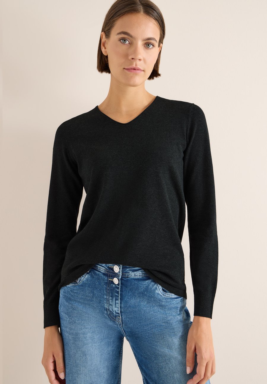 Джемпер Cecil BASIC, Grau/Dark Grey
Джемпер Cecil BASIC, Grau/Dark Grey