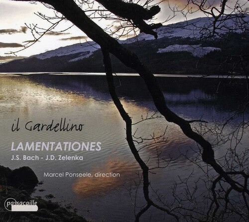 CD диск Zelenka / Bach, J.S. / Gardellino: Lamentationes
CD диск Zelenka / Bach, J.S. / Gardellino: Lamentationes