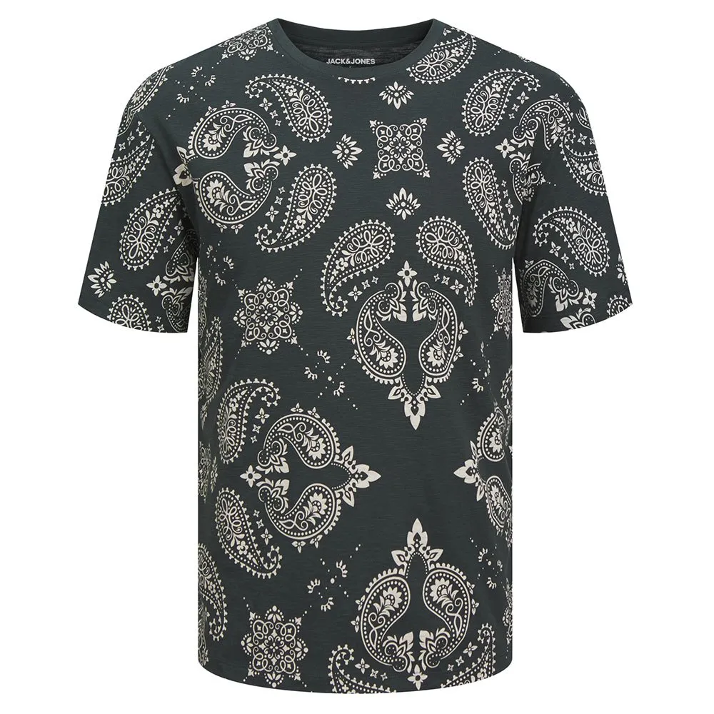 Футболка Jack & Jones Paisley, зеленый
Футболка Jack & Jones Paisley, зеленый
