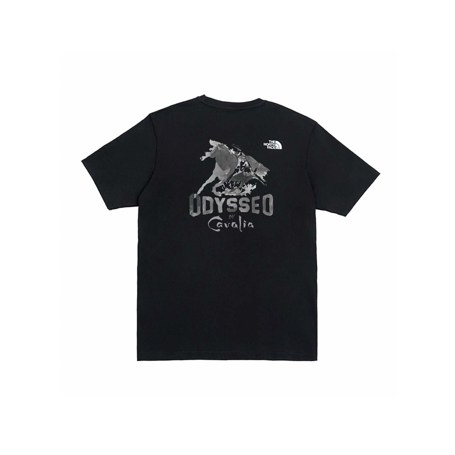 THE NORTH FACE Футболка мужская черная, Черный, THE NORTH FACE Футболка мужская черная
THE NORTH FACE Футболка мужская черная, Черный, THE NORTH FACE Футболка мужская черная