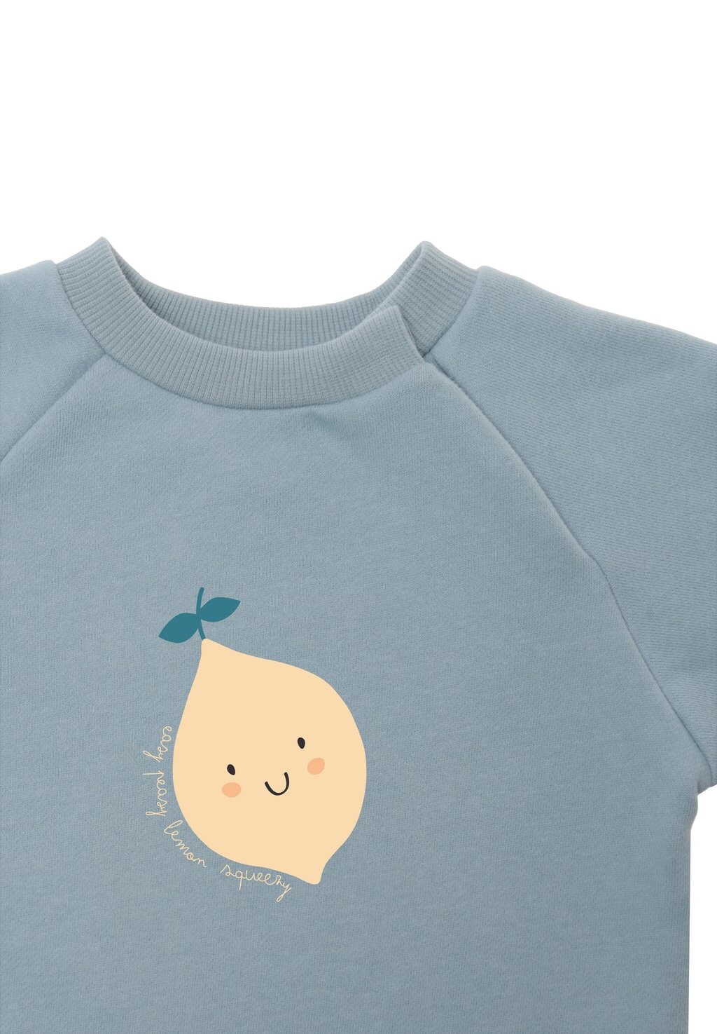 Толстовка Zitrone Liliput, светло-голубая
Толстовка Zitrone Liliput, светло-голубая