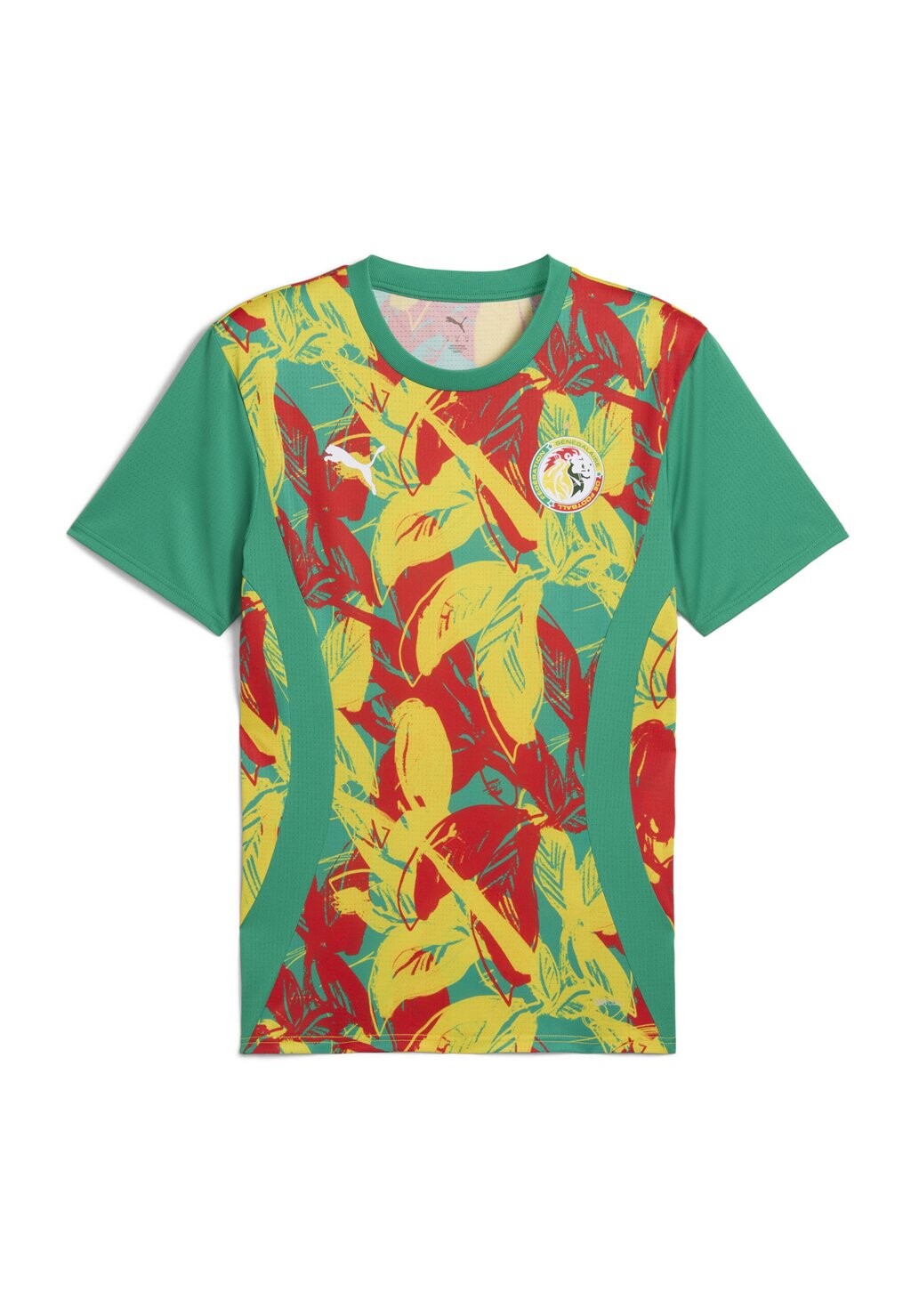 Футболка FSF PREMATCH SS Puma, зеленый 
Футболка FSF PREMATCH SS Puma, зеленый