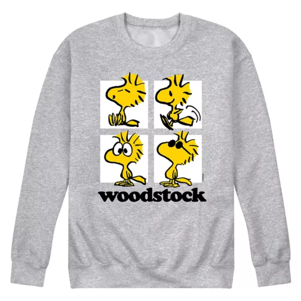 Мужская футболка с длинным рукавом peanuts woodstock grid Licensed Character, серый
Мужская футболка с длинным рукавом peanuts woodstock grid Licensed Character, серый