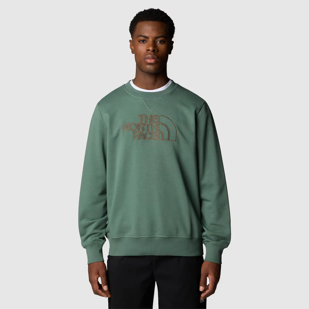 Мужская толстовка Drew Peak The North Face, бежевый
Мужская толстовка Drew Peak The North Face, бежевый