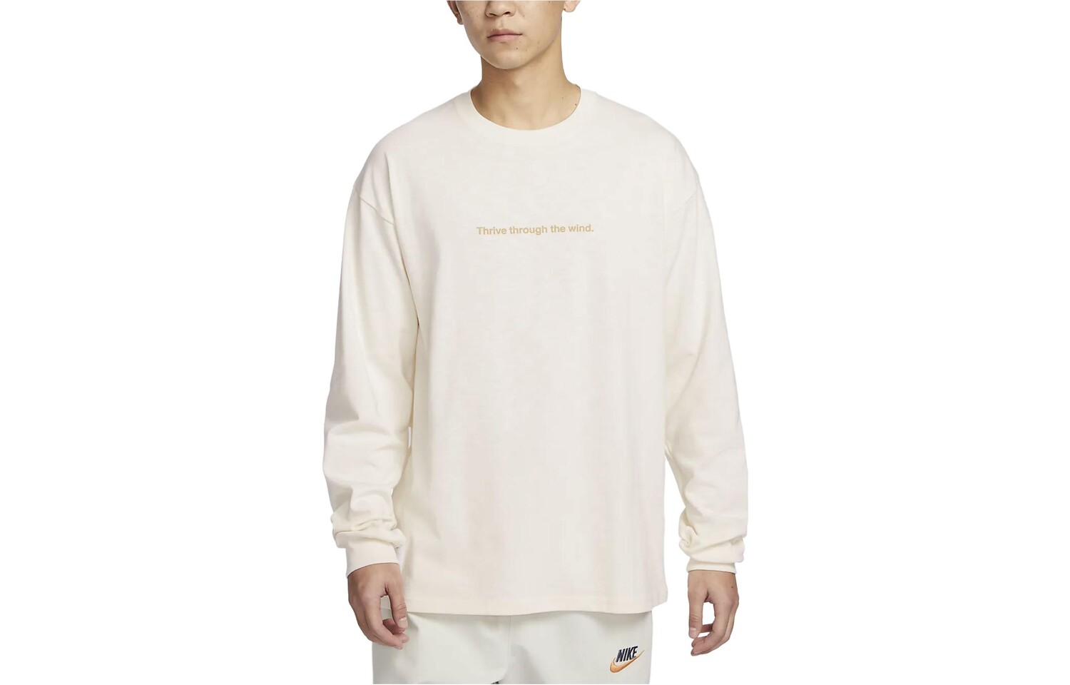 Футболка мужская светло-слоновая кость Nike, слоновая кость
Футболка мужская светло-слоновая кость Nike, слоновая кость