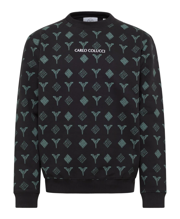 Толстовка с логотипом Carlo Colucci, мультиколор
Толстовка с логотипом Carlo Colucci, мультиколор