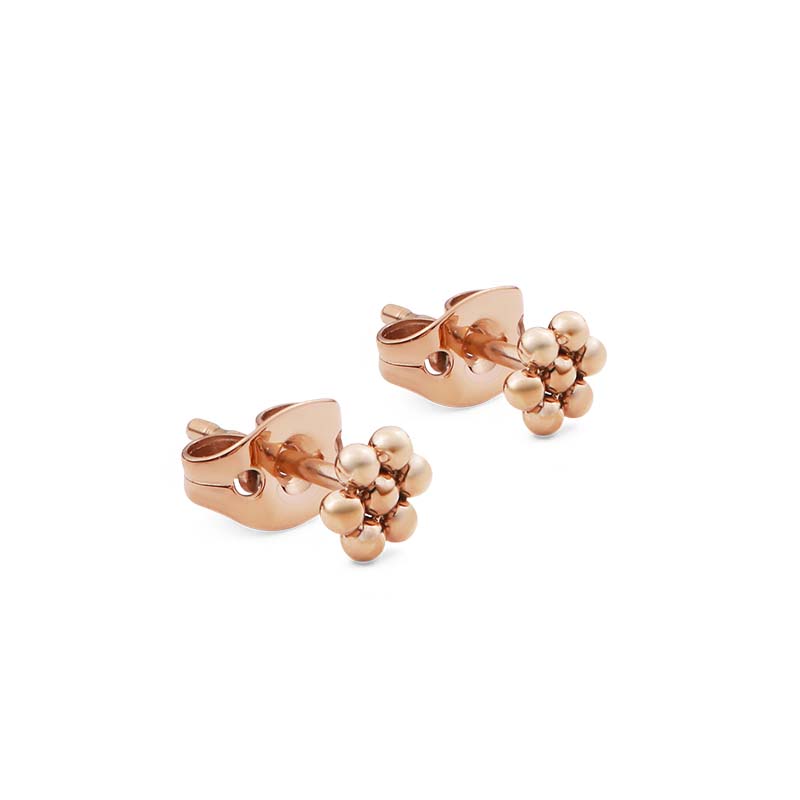 Daniel Wellington Alloy Stud Earrings Women's DW/DanielWellington, ear interlocking flower language/1 pair
Daniel Wellington Alloy Stud Earrings Women's DW/DanielWellington, ear interlocking flower language/1 pair