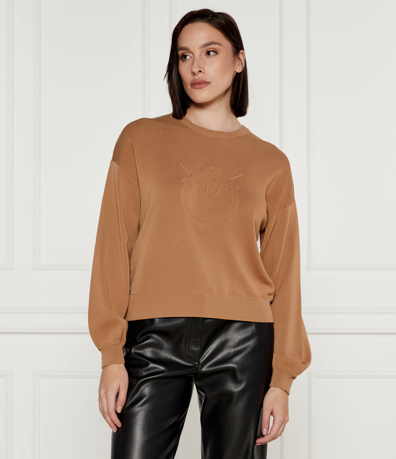 Толстовка Pinko EMPORIO Loose fit, коричневый 
Толстовка Pinko EMPORIO Loose fit, коричневый