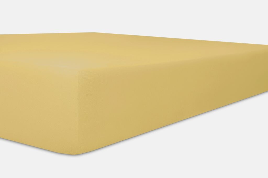 Простыня на коленях высотой до 30 см EASY-Stretch Q25 от 140x200 до 160x220 см 140x200++ Kneer, оранжевый
Простыня на коленях высотой до 30 см EASY-Stretch Q25 от 140x200 до 160x220 см 140x200++ Kneer, оранжевый