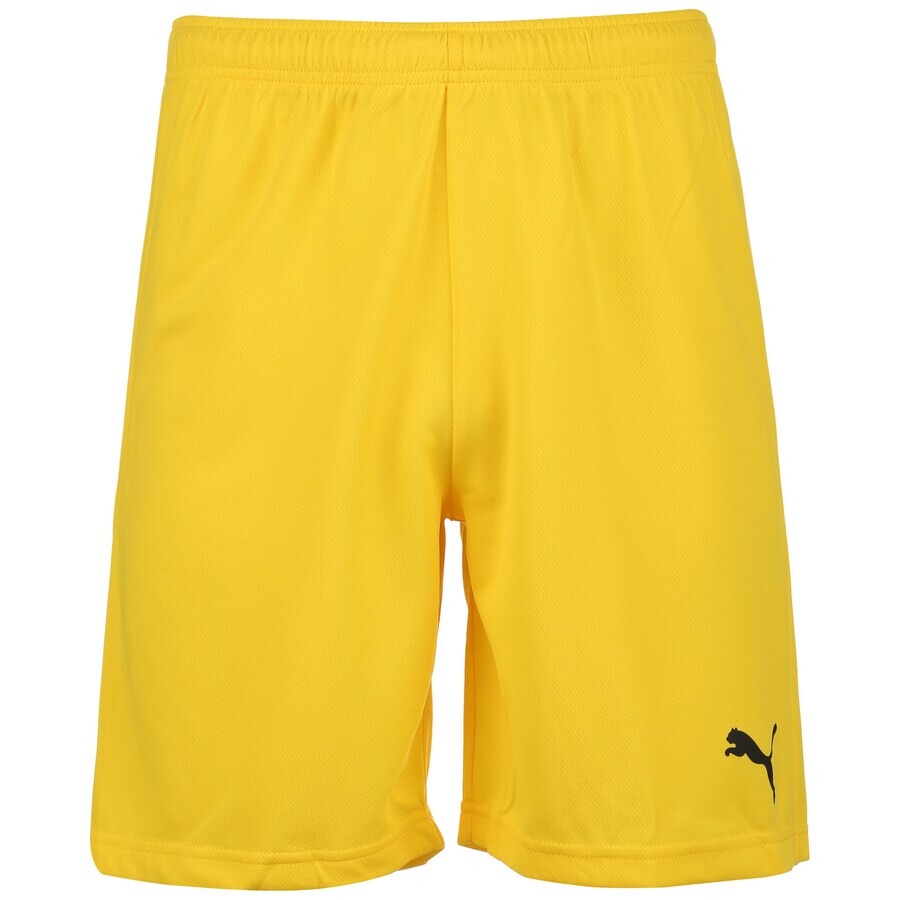Тренировочные брюки Puma TEAMRISE, желтый
Тренировочные брюки Puma TEAMRISE, желтый