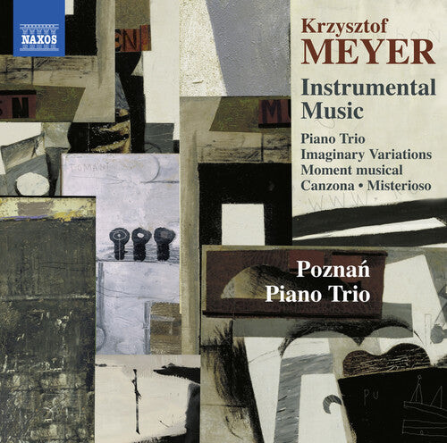 CD диск Meyer / Poznan Piano Trio: Meyer: Instrumental Music
CD диск Meyer / Poznan Piano Trio: Meyer: Instrumental Music