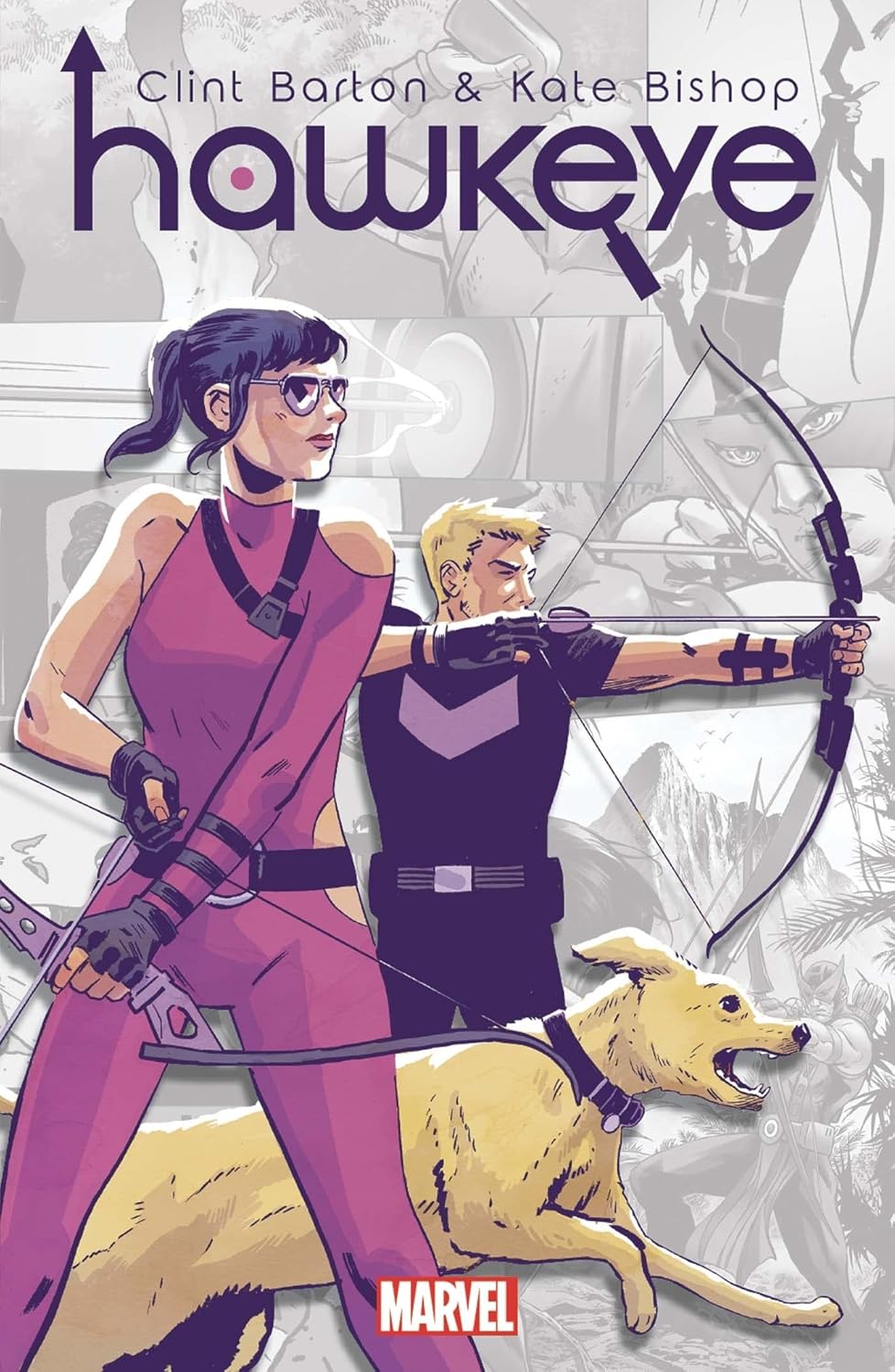 Marvel-Verse: Hawkeye (PANINI)
Marvel-Verse: Hawkeye (PANINI)