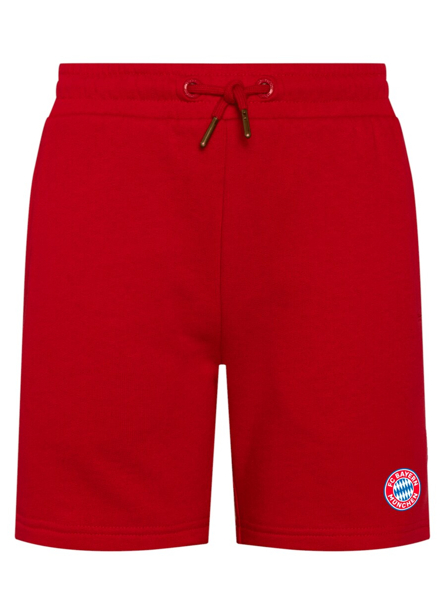Обычные брюки FC BAYERN MÜNCHEN Essential, красный
Обычные брюки FC BAYERN MÜNCHEN Essential, красный