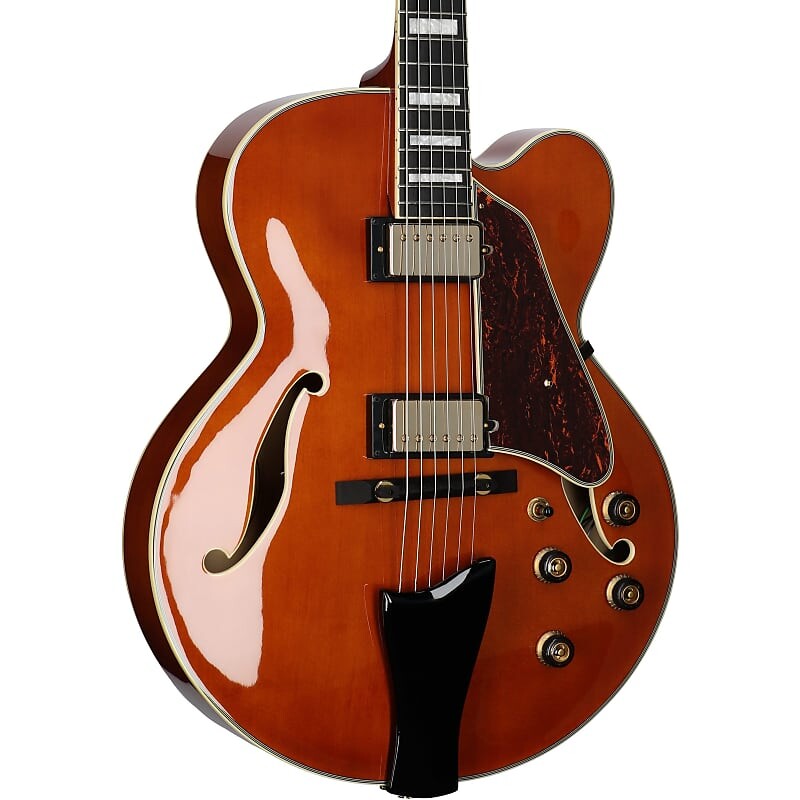 Электрогитара Ibanez Artcore Expressionist AF95 Electric Guitar, Dark Amber
Электрогитара Ibanez Artcore Expressionist AF95 Electric Guitar, Dark Amber