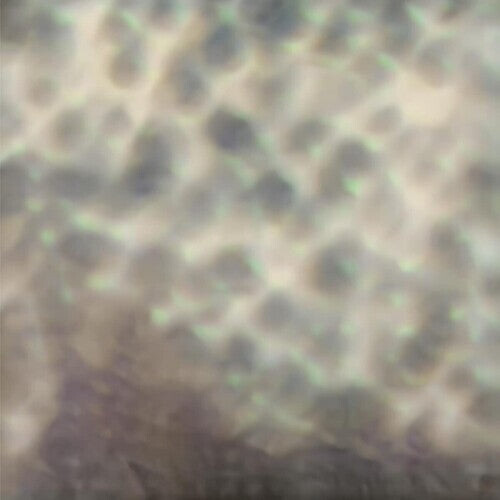 CD диск Cipa, Carlos: Ourselves as we are
CD диск Cipa, Carlos: Ourselves as we are