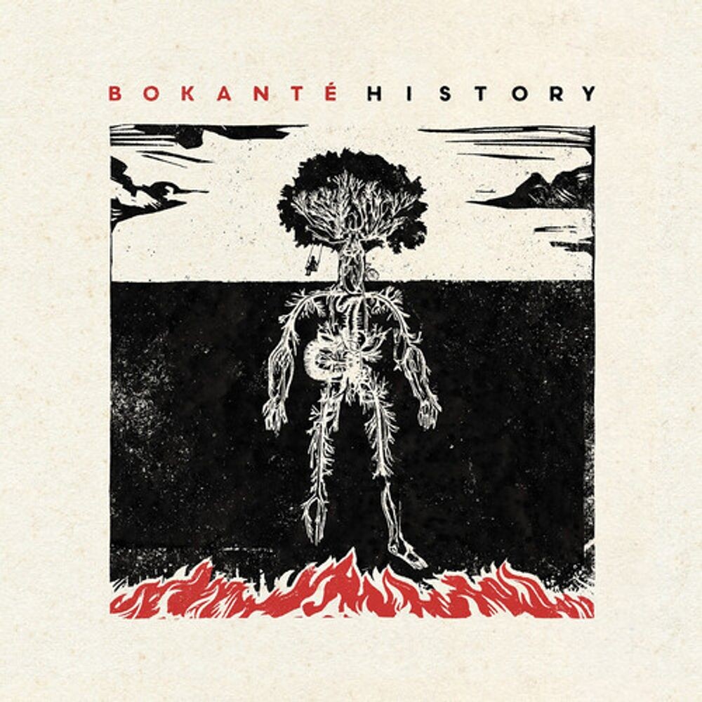 Диск CD History - Bokanté
Диск CD History - Bokanté