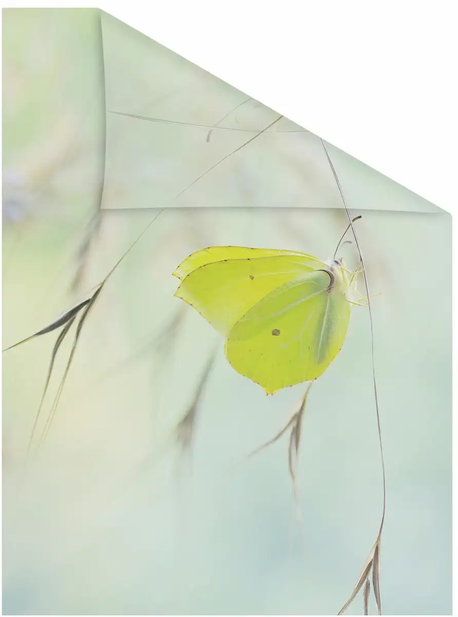 LICHTBLICK ORIGINAL оконная пленка "Butterfly Green", 1 шт., непрозрачная, структурированные клейкие точки, самоклеящаяся, защита конфиденциальности 50х100 см, зеленый
LICHTBLICK ORIGINAL оконная пленка "Butterfly Green", 1 шт., непрозрачная, структурированные клейкие точки, самоклеящаяся, защита конфиденциальности 50х100 см, зеленый