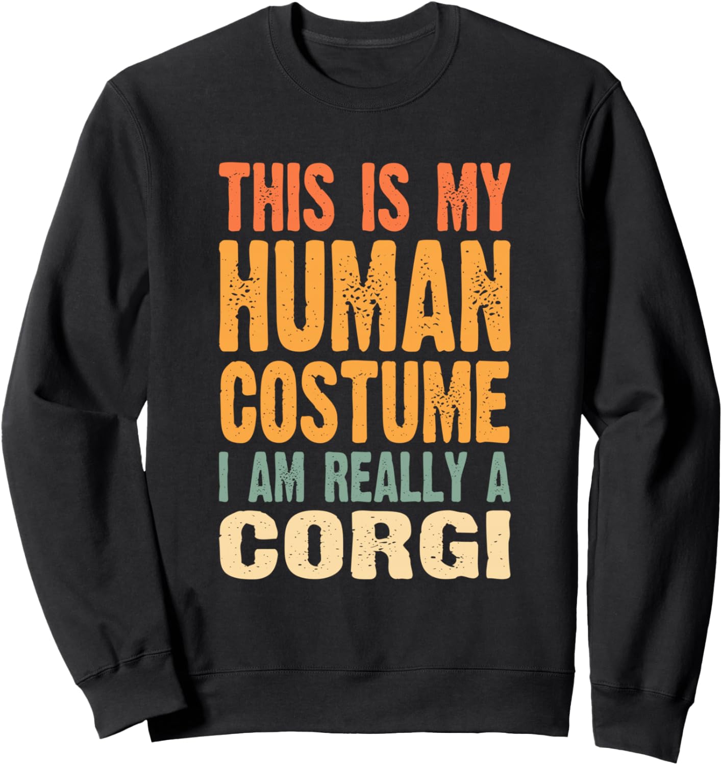 Это мой человеческий костюм. На самом деле я корги. Толстовка This Is My Human Costume I'M Really A Corgi, черный
Это мой человеческий костюм. На самом деле я корги. Толстовка This Is My Human Costume I'M Really A Corgi, черный