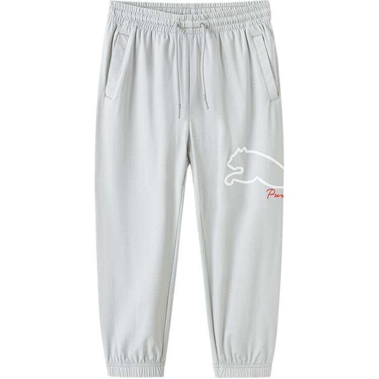 GS Брюки Puma, цвет Morning ash
GS Брюки Puma, цвет Morning ash