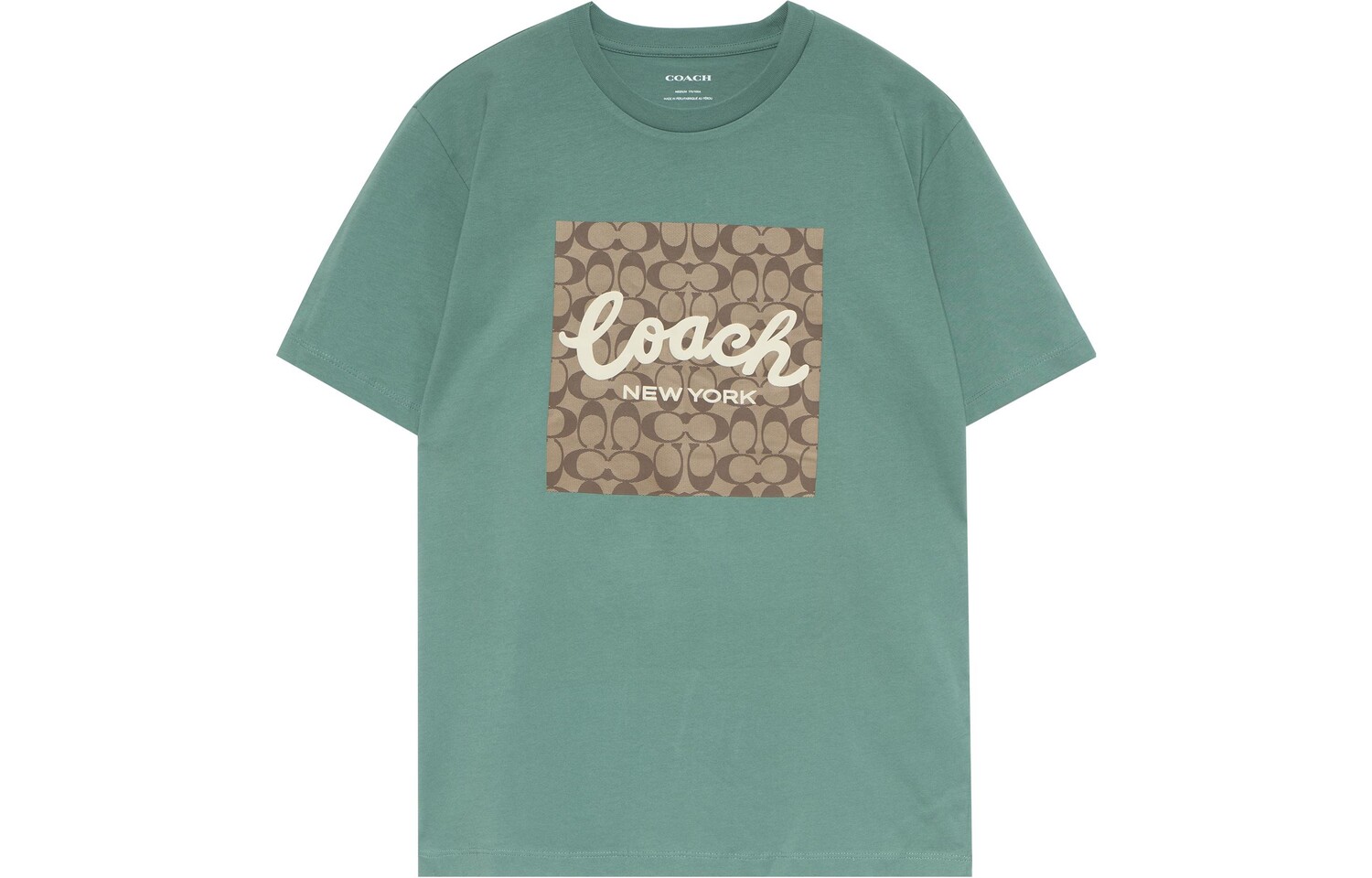 Футболка мужская зеленая Coach, зеленый
Футболка мужская зеленая Coach, зеленый