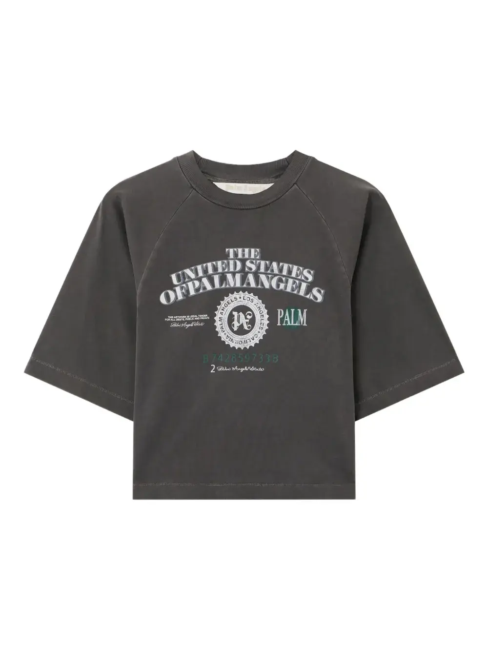 Футболка с принтом в виде долларов Palm Angels, серый
Футболка с принтом в виде долларов Palm Angels, серый