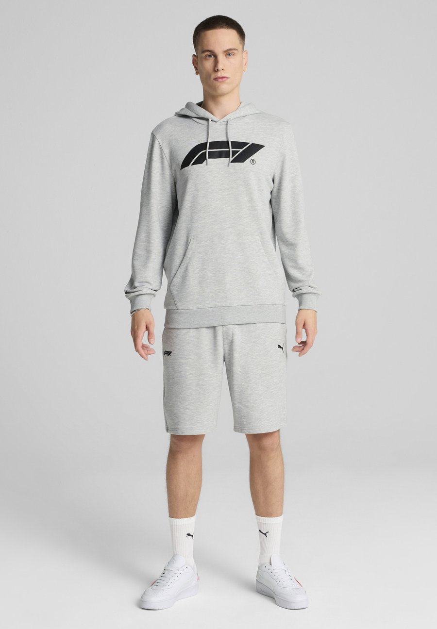 Худи Puma LOGO, Light Gray Heather/Grey
Худи Puma LOGO, Light Gray Heather/Grey