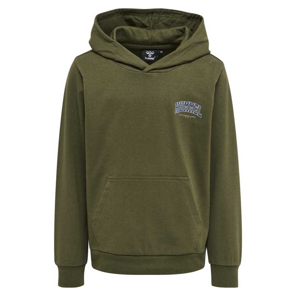 Худи Hummel Fast, зеленый
Худи Hummel Fast, зеленый