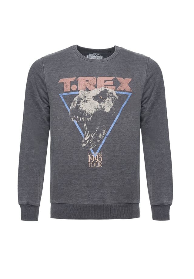 Свитшот Jurassic Park T-Rex 1993 с крутым принтом Jurassic Park Re:Covered, серый
Свитшот Jurassic Park T-Rex 1993 с крутым принтом Jurassic Park Re:Covered, серый