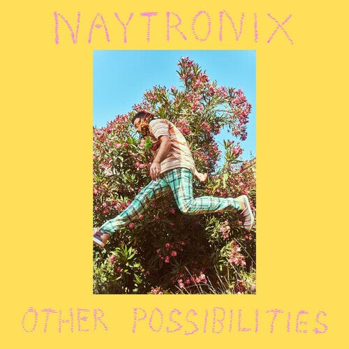 Аудиокассета Naytronix: Other Possibilities
Аудиокассета Naytronix: Other Possibilities