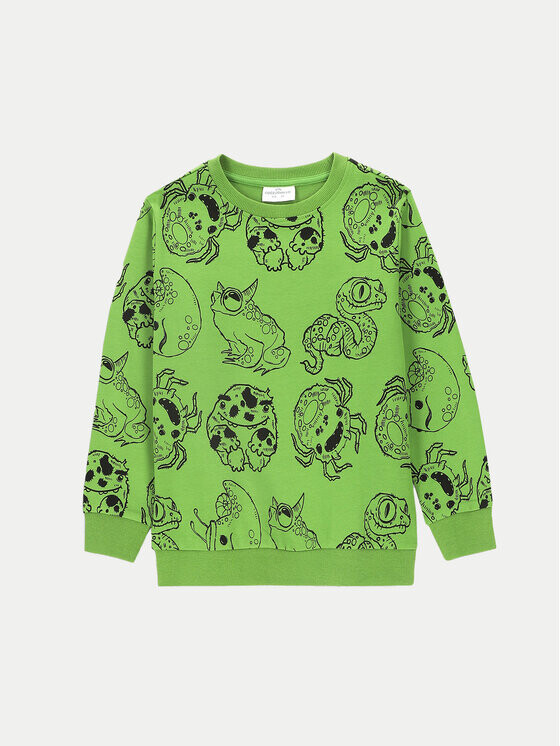 Толстовка обычного кроя Coccodrillo, зеленый
Толстовка обычного кроя Coccodrillo, зеленый