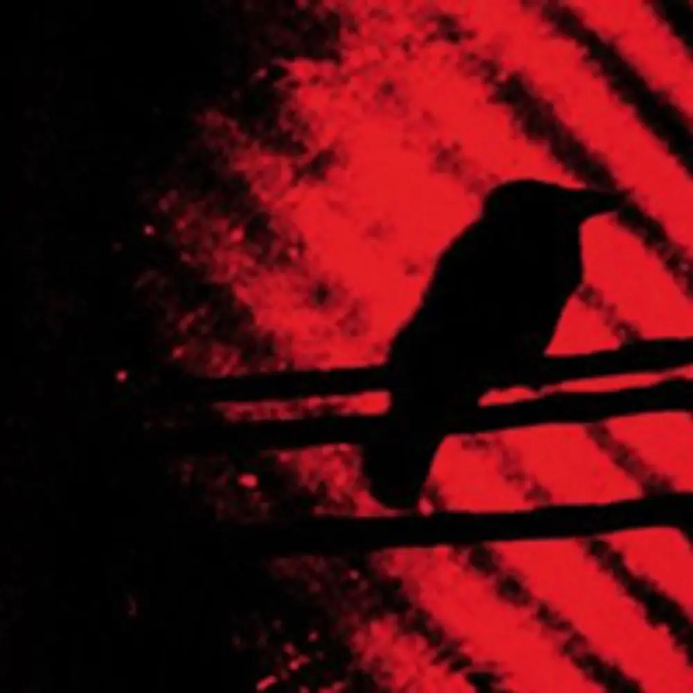 Виниловая пластинка LP Born Into Trouble As The Sparks Fly Upward - Thee Silver Mt. Zion Memorial Orchestra & Tra-La-La Band
Виниловая пластинка LP Born Into Trouble As The Sparks Fly Upward - Thee Silver Mt. Zion Memorial Orchestra & Tra-La-La Band