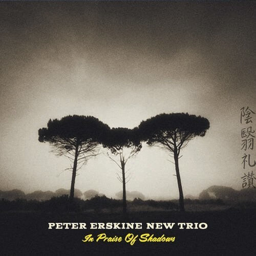 CD диск Erskine, Peter New Trio: In Praise Of Shadows
CD диск Erskine, Peter New Trio: In Praise Of Shadows
