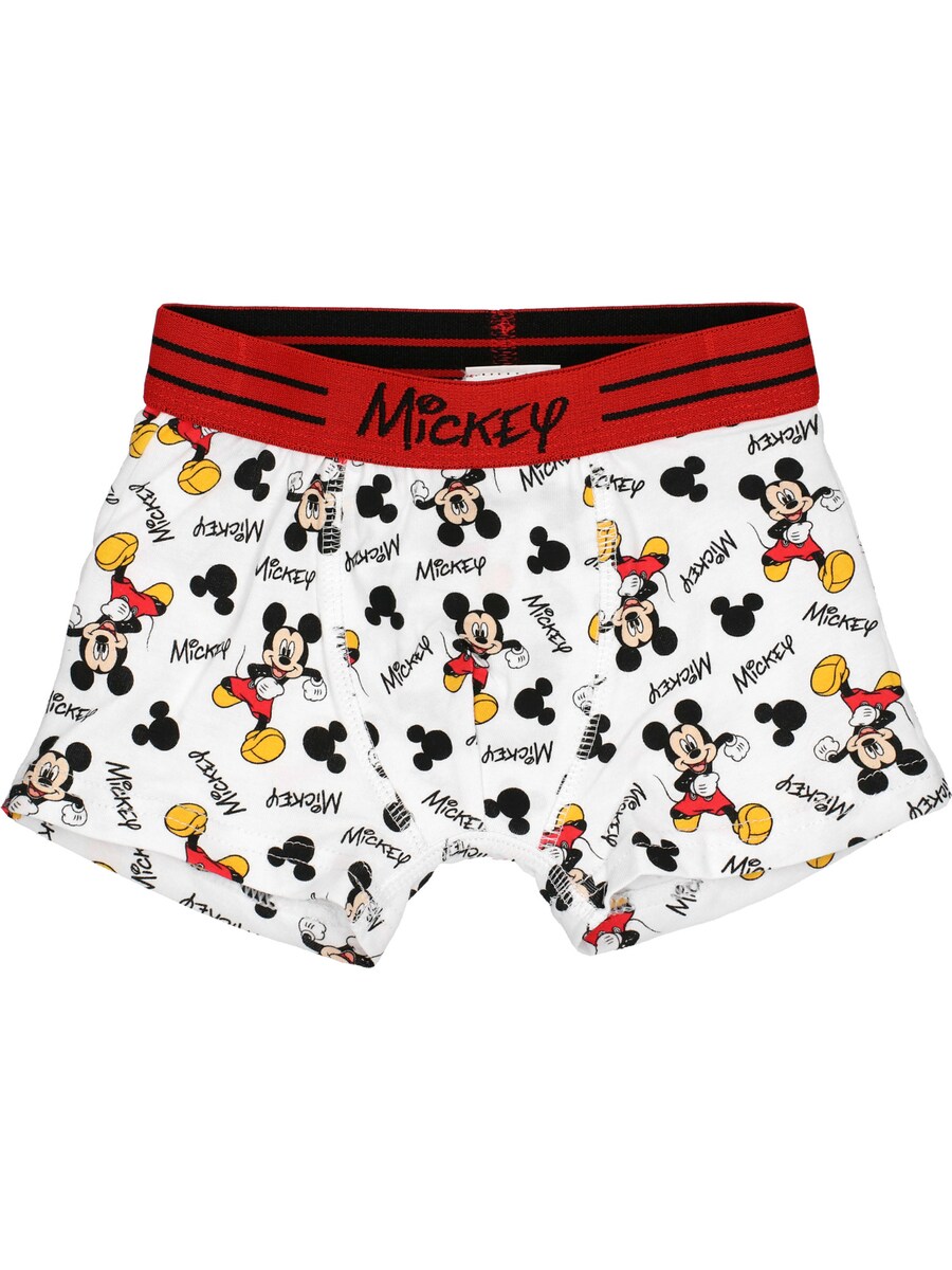 Трусы DISNEY Mickey Mouse, белый
Трусы DISNEY Mickey Mouse, белый