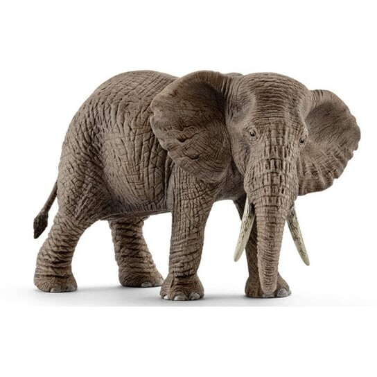 Schleich, статуэтка, Самка африканского слона
Schleich, статуэтка, Самка африканского слона