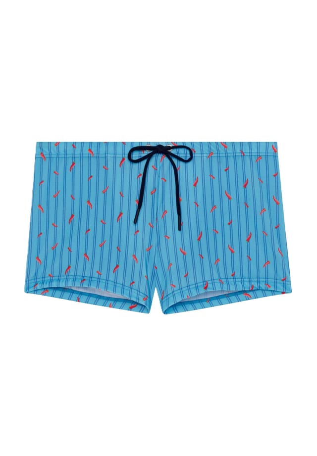 Плавки с завязками на шнурке Hom, бирюзовый
Плавки с завязками на шнурке Hom, бирюзовый