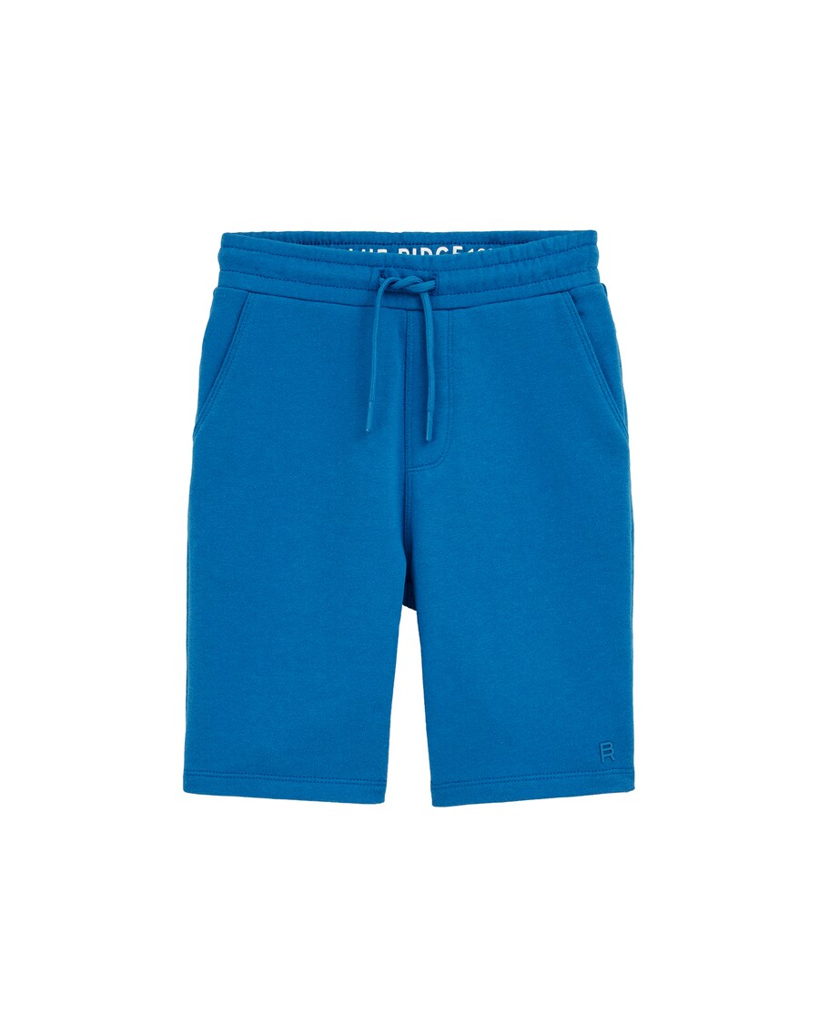 Обычные брюки WE Fashion, синий 
Обычные брюки WE Fashion, синий