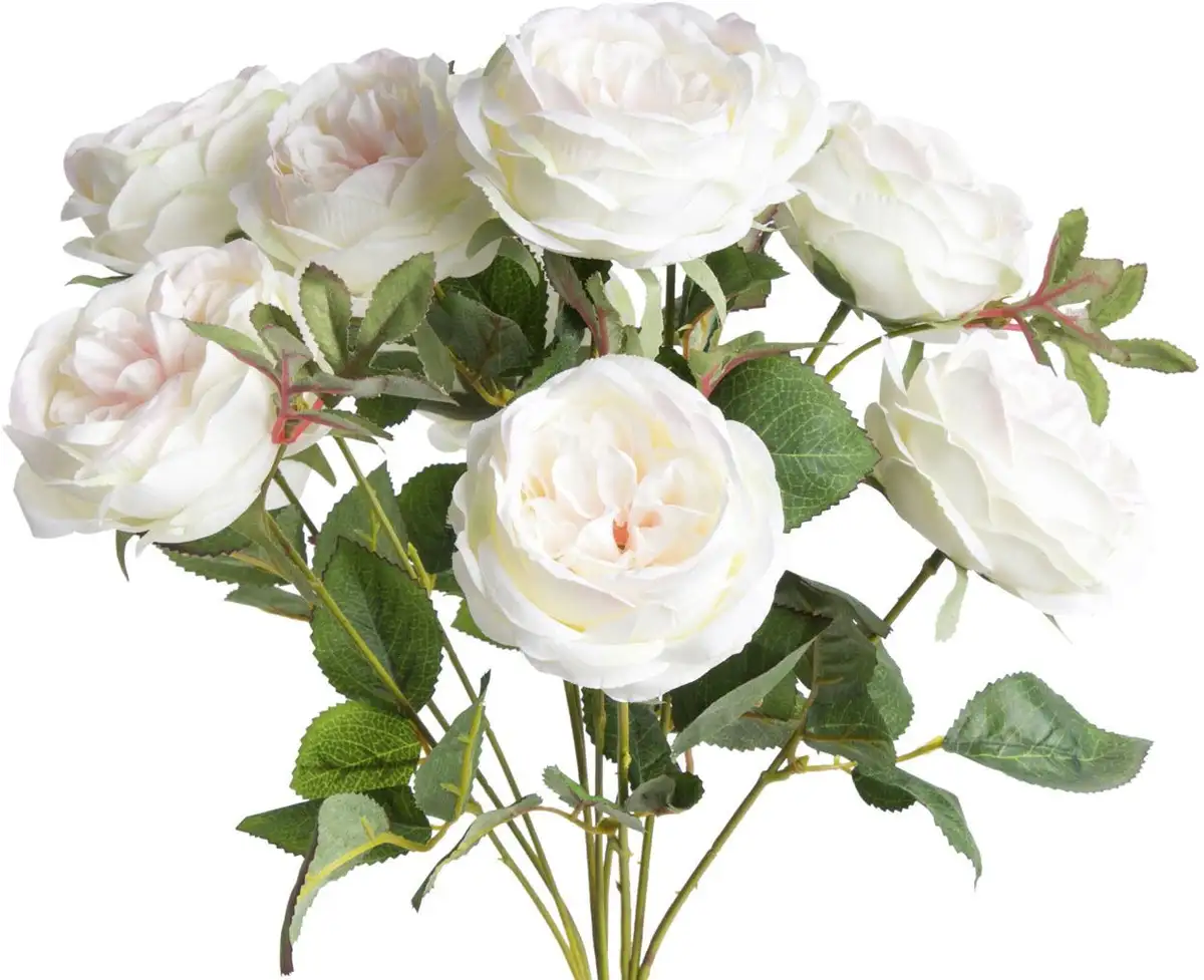 Botanic-Haus искусственный цветок "Куст английской розы" Ø/30х46 см, цвет creme-weiß leicht pink
Botanic-Haus искусственный цветок "Куст английской розы" Ø/30х46 см, цвет creme-weiß leicht pink