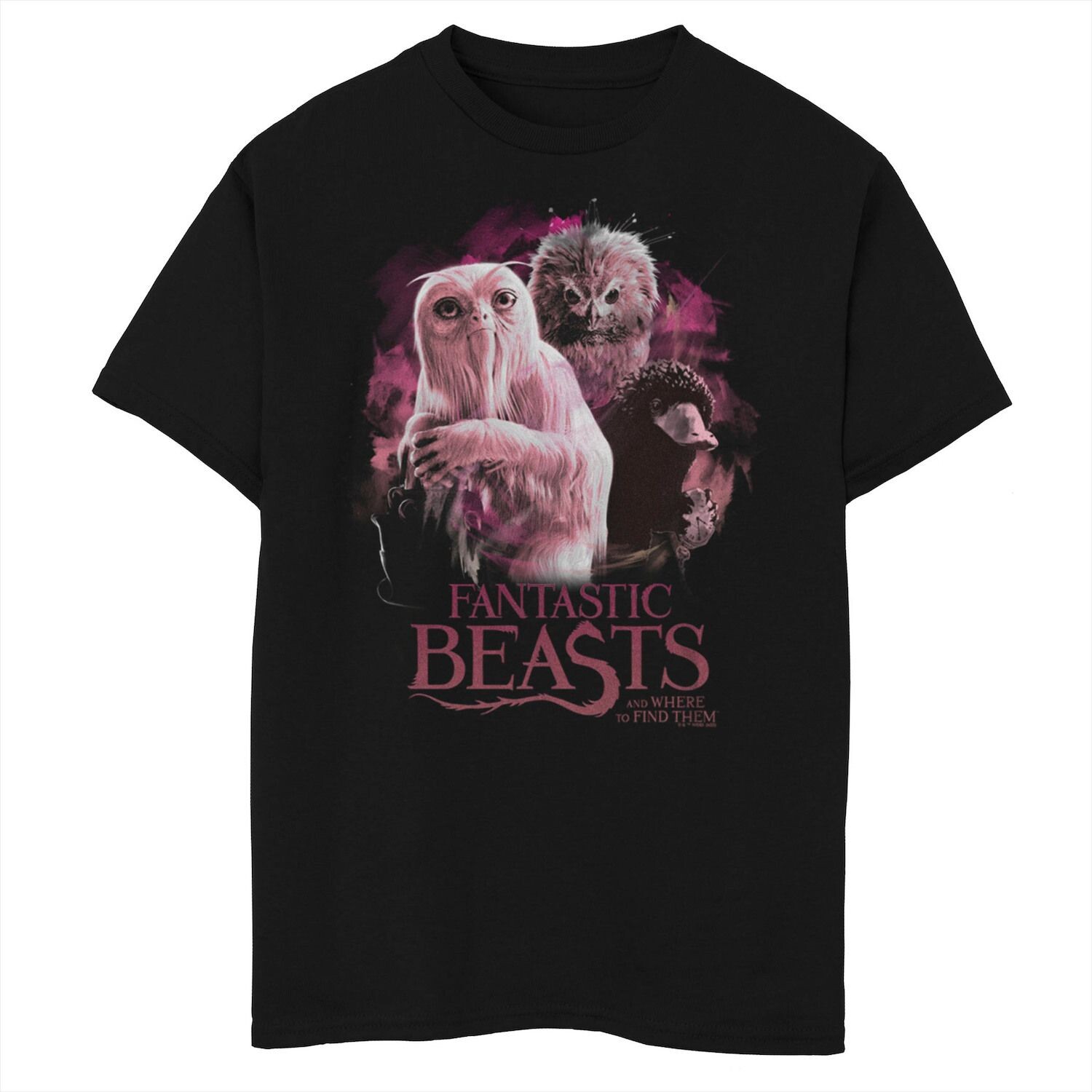 Футболка с рисунком «Фантастические твари: Преступления Гриндельвальда» для мальчиков 8–20 лет. Harry Potter
Футболка с рисунком «Фантастические твари: Преступления Гриндельвальда» для мальчиков 8–20 лет. Harry Potter