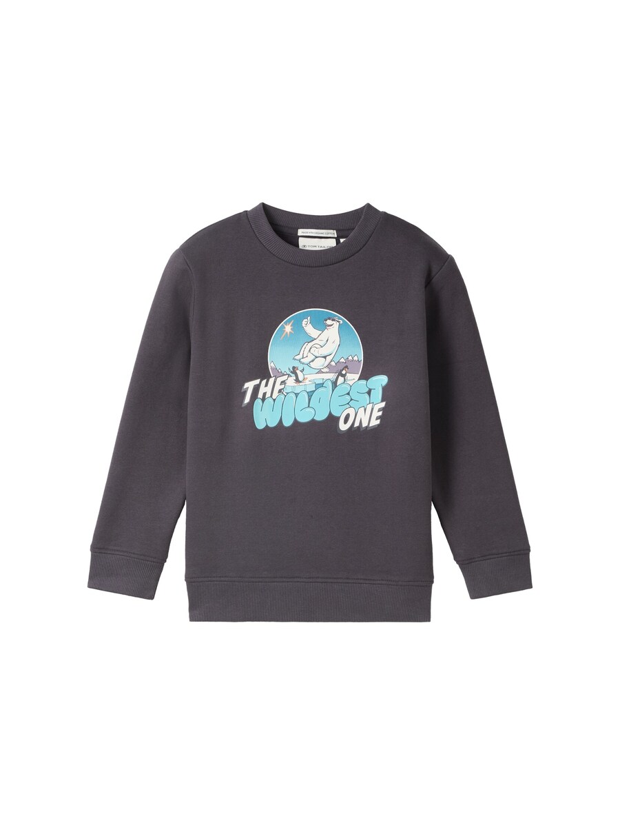 Толстовка TOM TAILOR, темно-серый
Толстовка TOM TAILOR, темно-серый